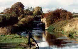 Tewitfield Locks