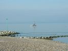 morecambe_blue_1.jpg