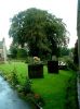 warton_churchyard_2.jpg