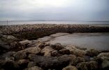 wet_rocks2.jpg