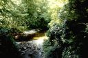 Filename=river_glass_2.jpg
Filesize=203KiB
Dimensions=1000x670
Date added=%010 %13, %2014 river_glass_2.jpg