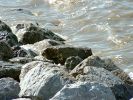 sea_rocks_1.jpg