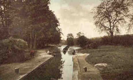 Watford