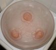 Filename=pink_bowl_top.jpg
Filesize=24KiB
Dimensions=432x383
Date added=Sep 22, 2005 pink_bowl_top.jpg