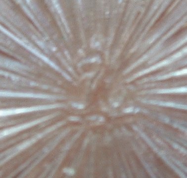 Sowerby moulded mark - from outside
Sowerby moulded mark on base of bowl.
