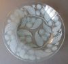Filename=Calypto_medium-plate.jpg
Filesize=154KiB
Dimensions=800x746
Date added=Feb 12, 2017 Calypto_medium-plate.jpg