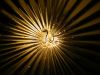 Filename=AN_Sowerby_01.jpg
Filesize=103KB
Dimensions=768x576
Date added=May 16, 2013 AN_Sowerby_01.jpg