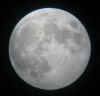 Filename=Full_moon_1~0.jpg
Filesize=18KB
Dimensions=486x467
Date added=Mar 05, 2007 Full_moon_1~0.jpg