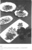 Filename=bouquet-scan.jpg
Filesize=148KB
Dimensions=562x873
Date added=Jun 09, 2006 bouquet-scan.jpg