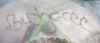 Filename=Budgeree_Signed~0.jpg
Filesize=73KB
Dimensions=631x277
Date added=Nov 26, 2011 Budgeree_Signed~0.jpg